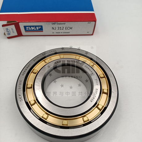 N208 N208E-M1-C3 EM ECM ECP ECJ Cylindrical Roller Bearing 40*80*18