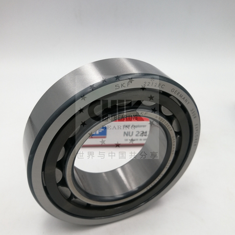 NJ305 E-M1-C3 ECM ECP Cylindrical Roller Bearing 25x62x17