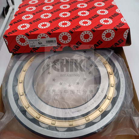 SKF FAG NJ2310 NJ2310E-M1-C3 EM ECM ECP ECJ Cylindrical Roller Bearing 50x110x40